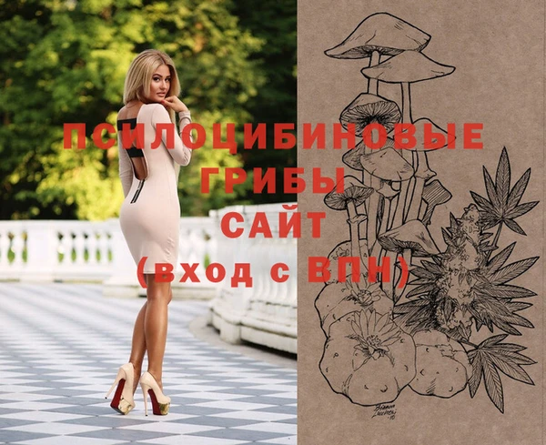 спайс Инсар