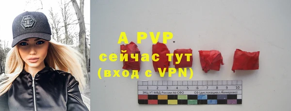 спайс Инсар