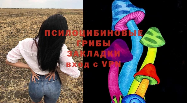спайс Инсар