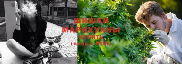 спайс Инсар