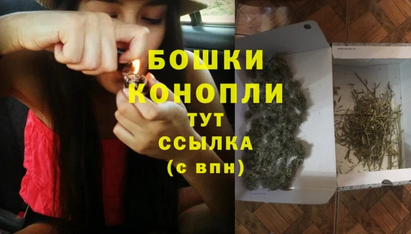спайс Инсар