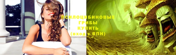 спайс Инсар